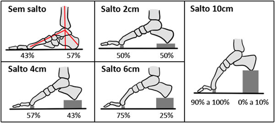 A distribuição de carga de acordo com a altura do calçado