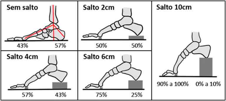 Imagem ilustrativa representando a relação do tamanho do salto com a pressão sob os metatarsos.